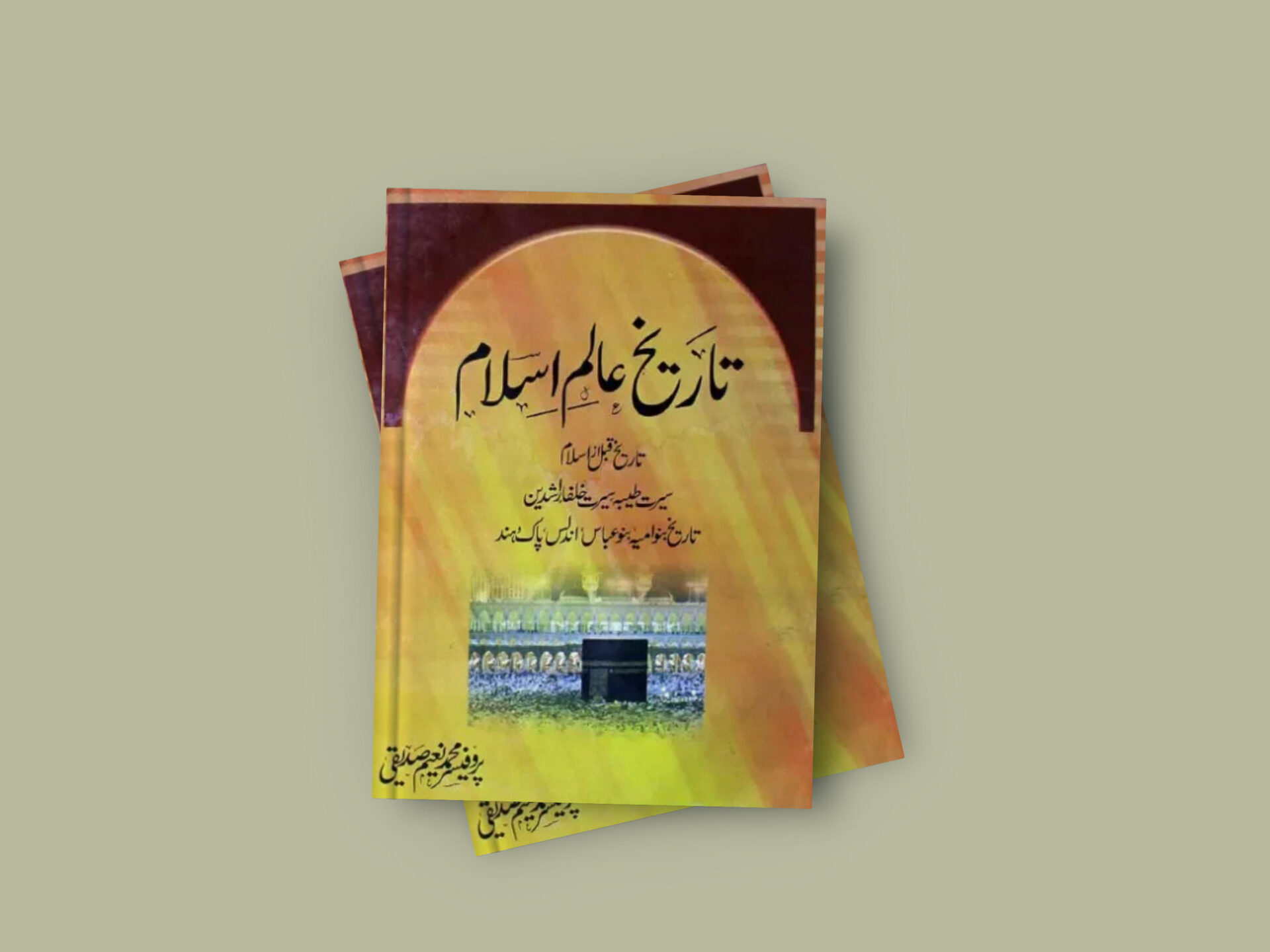 tareekh-alam-e-islam-history-book-by-prof-naeem-siddiqui-pdf